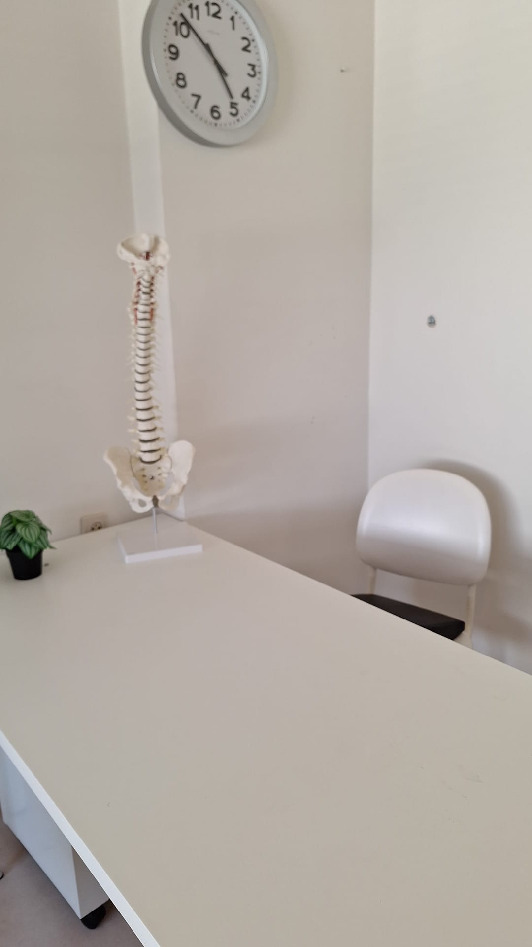 bureau kinesist sint-truiden